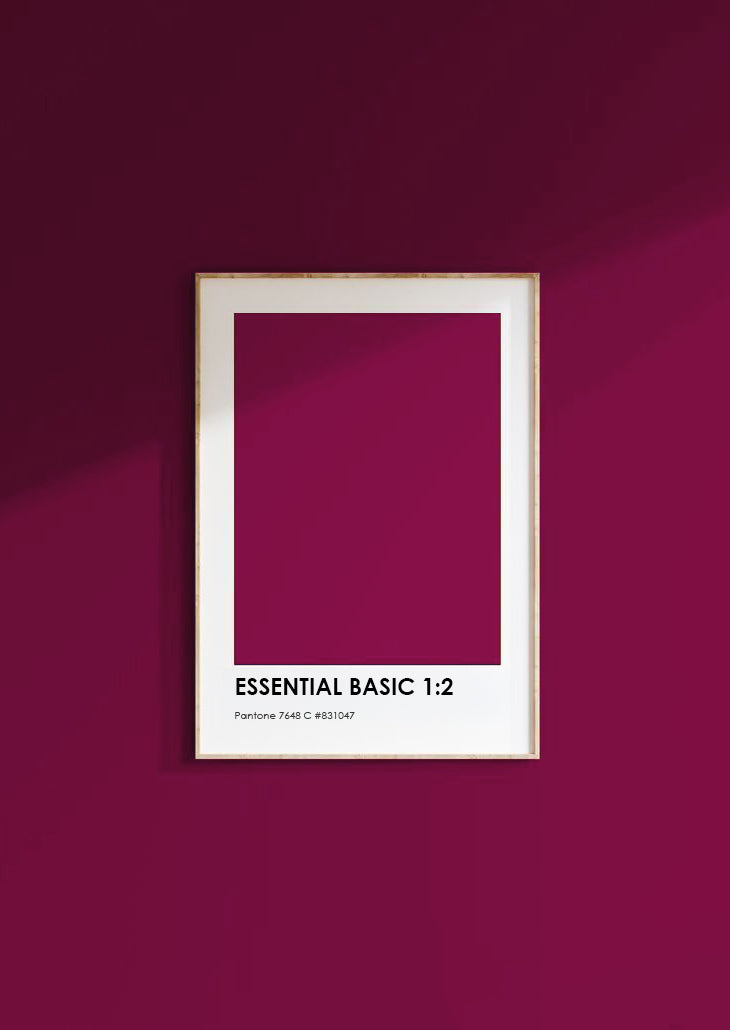 Essential Basic 1:2